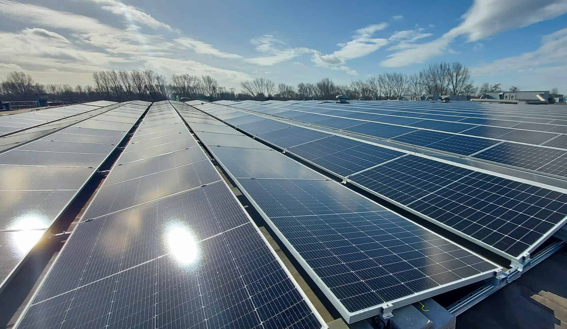 sustainable energy is generated with solar panels