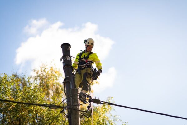 A OneCo worker is seen repairing a telegraph pole with climbing gear on.