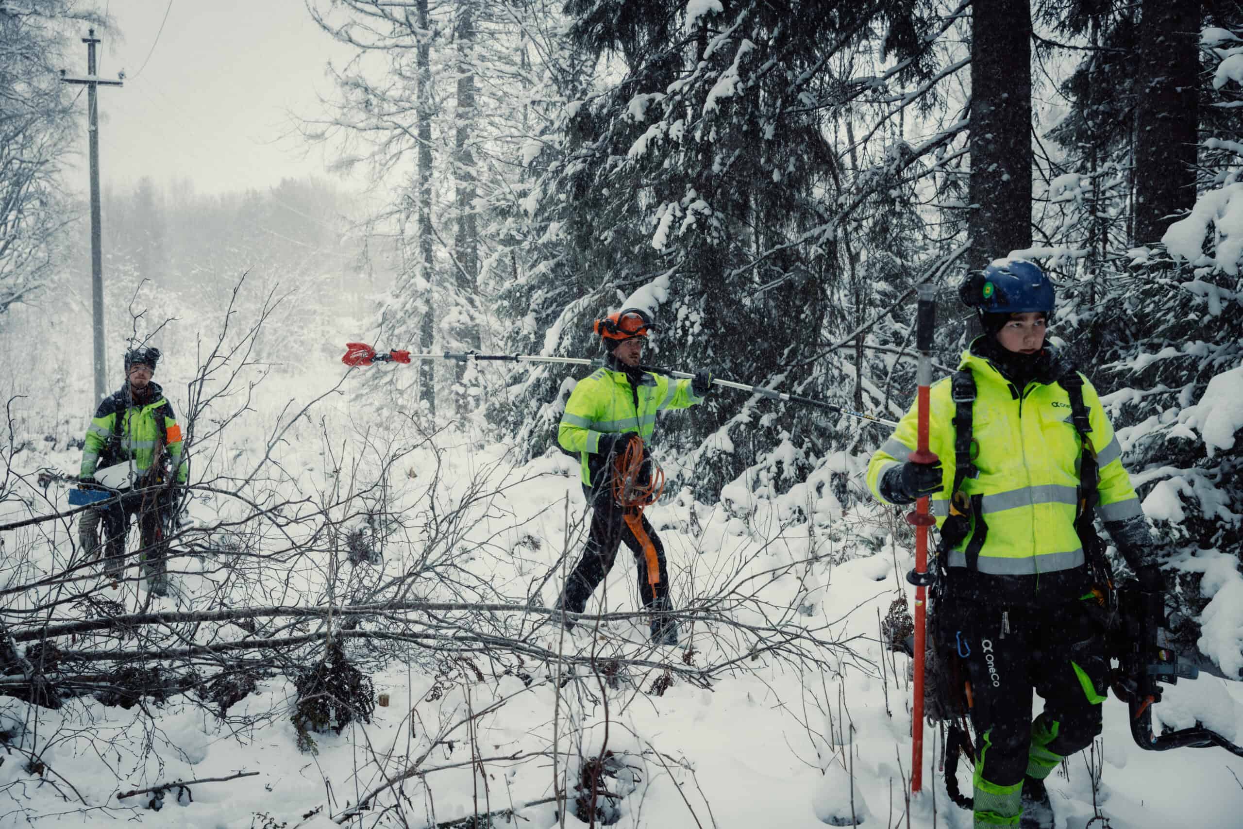 OneCo gjenoppretter strøm gjennom vinterstormene - image