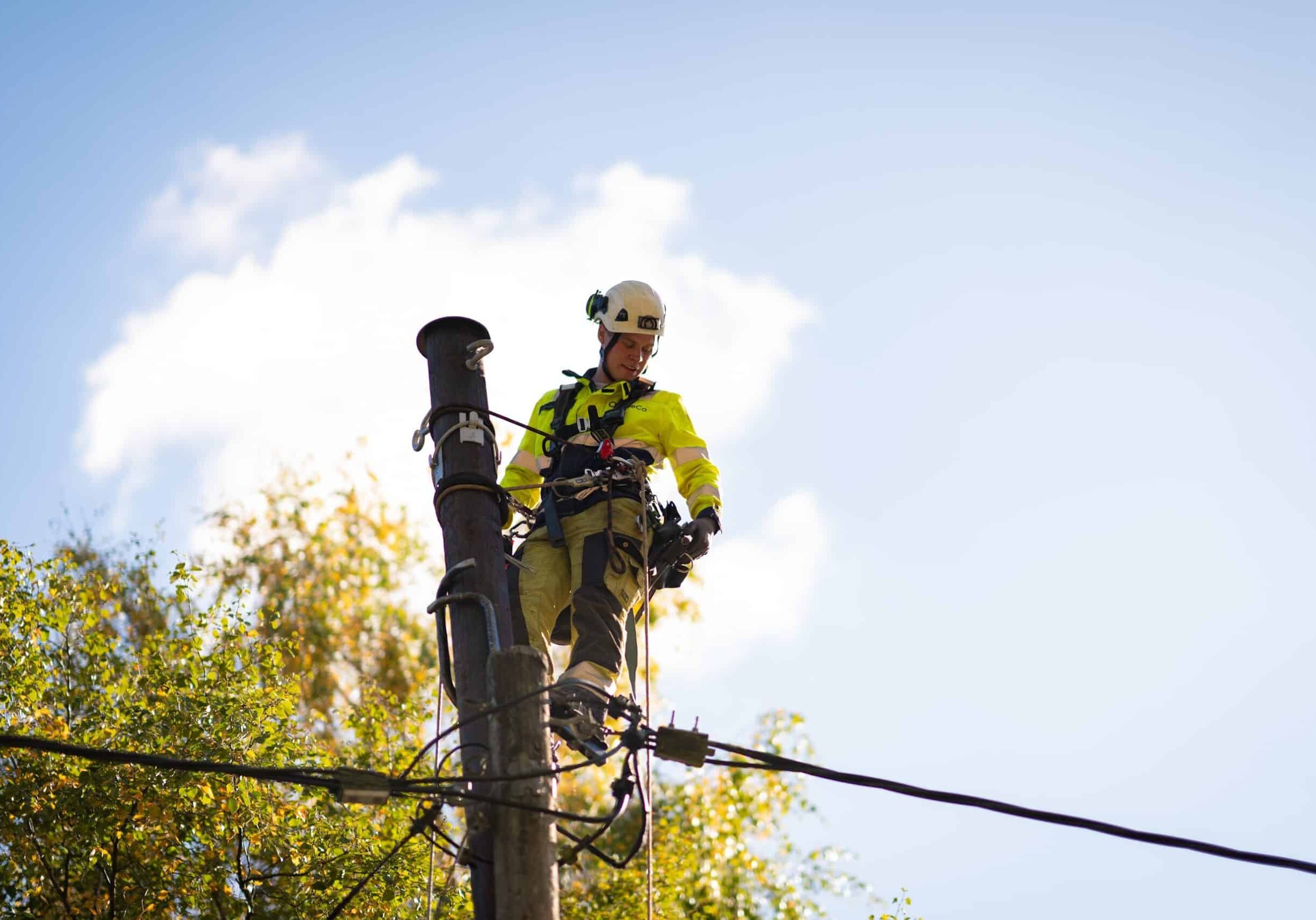 A OneCo worker is seen repairing a telegraph pole with climbing gear on.