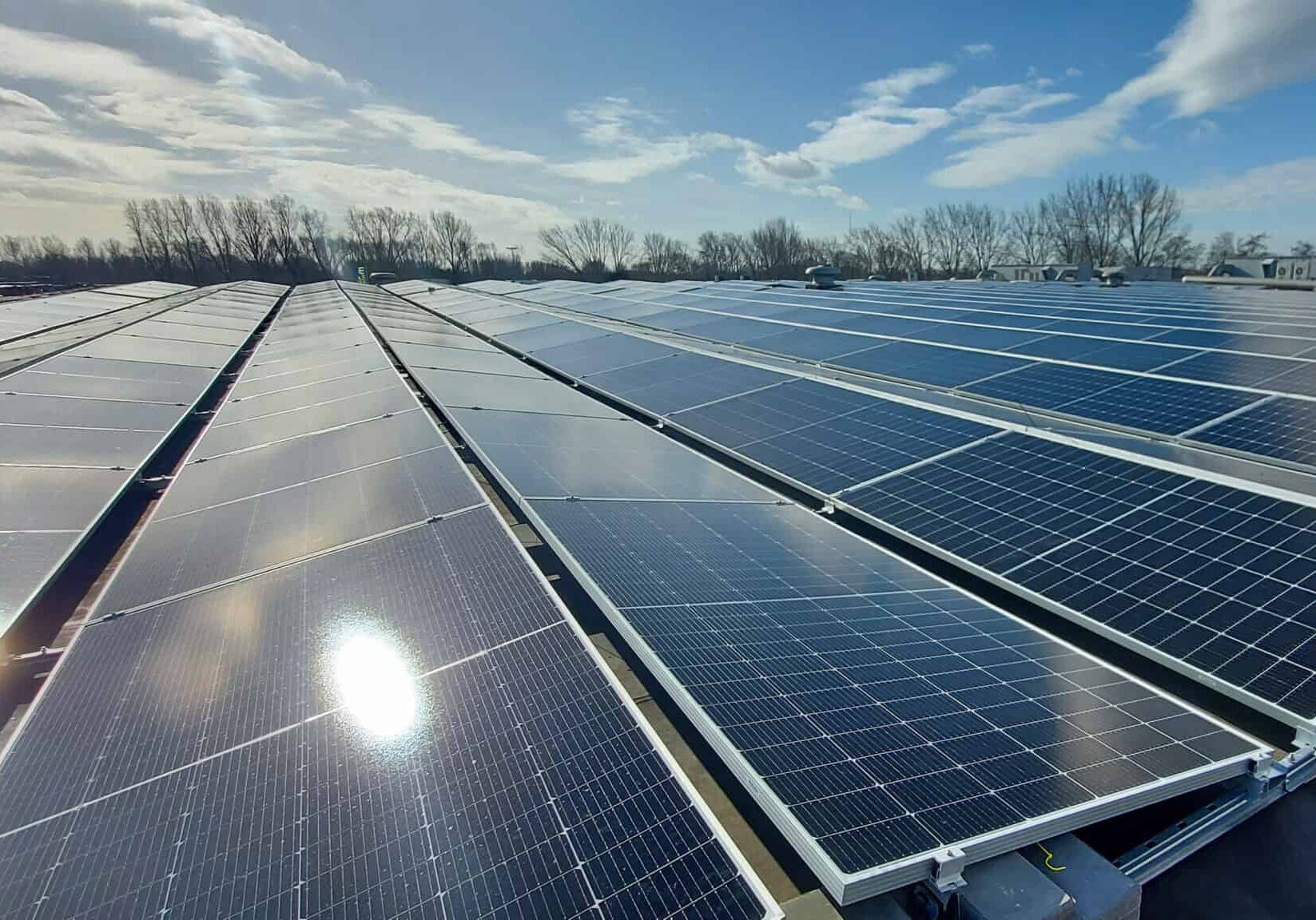 sustainable energy is generated with solar panels
